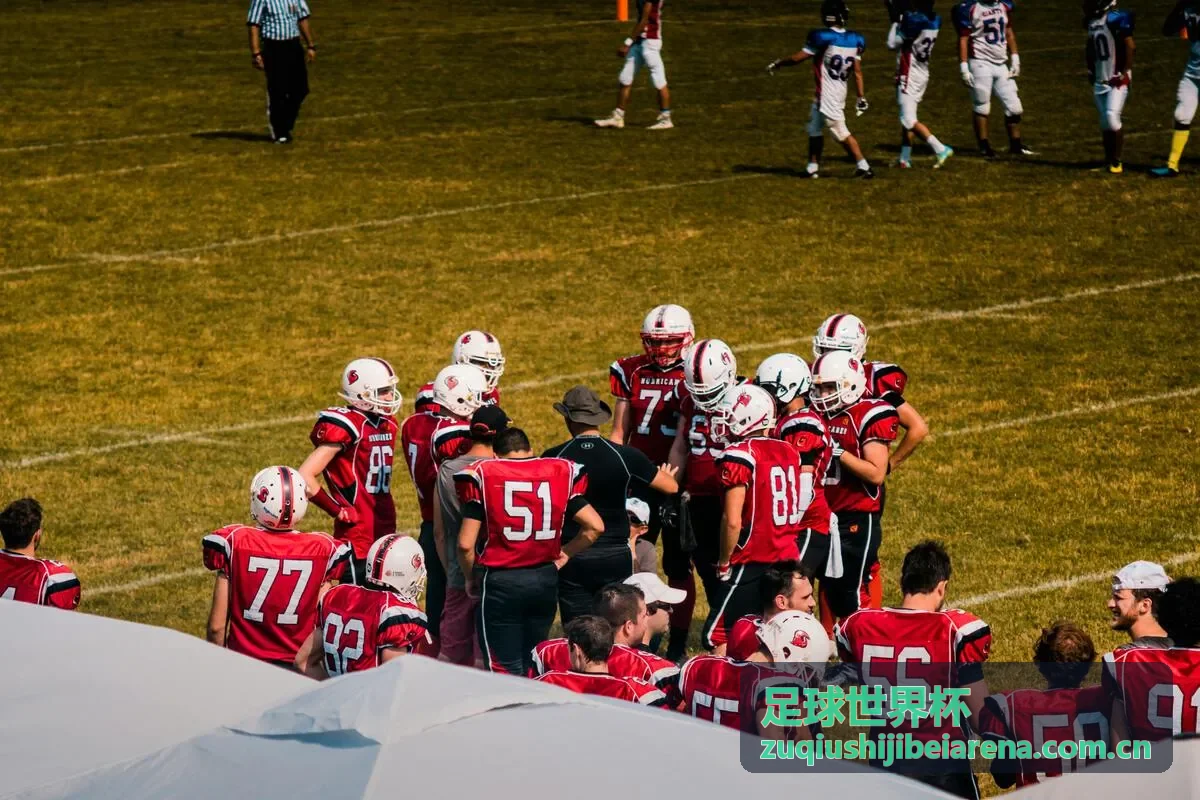 足球世界杯赛事深度分析